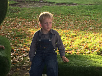 Администрация Твери запустила голосование по фотоконкурсу «Мой Горсад»